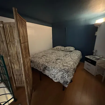 Duplex Spagiari Appartement Nice